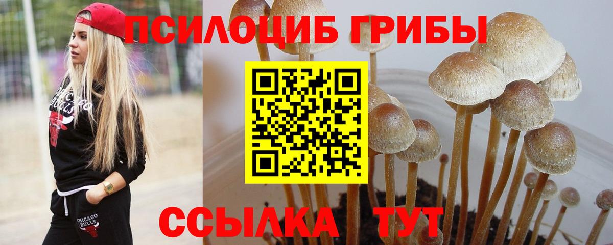 Галлюциногенные грибы мухоморы Ростов Великий
